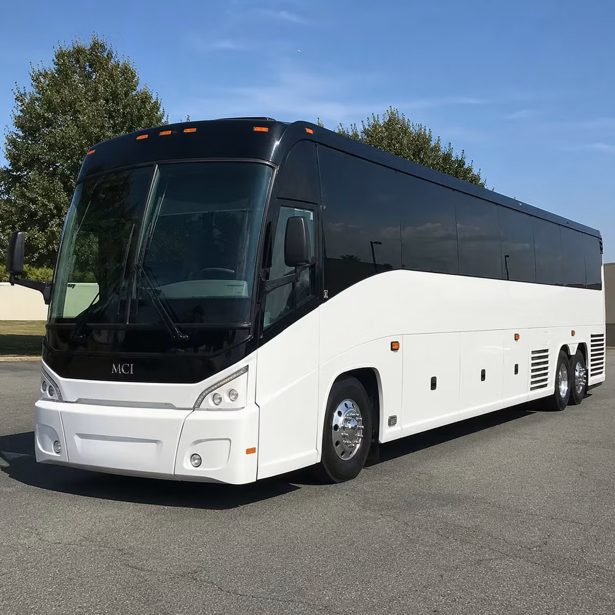 compare long distance transportation options in rochester and beyond
