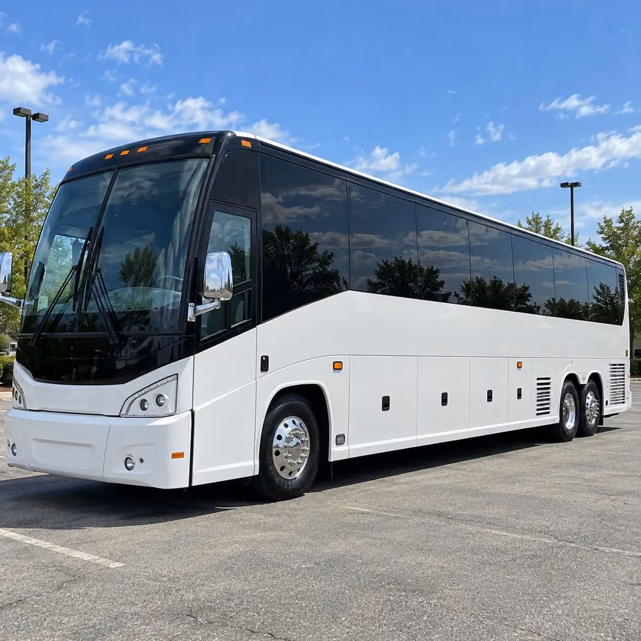 rochester ibex amateur hockey transportation to mayo clinic health system arena