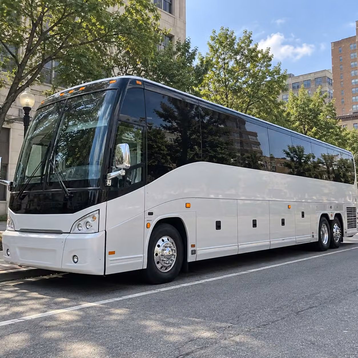 youth sports team transportation throughout olmsted county